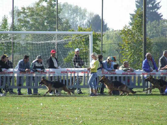 Campionato SAS di Modena 2007